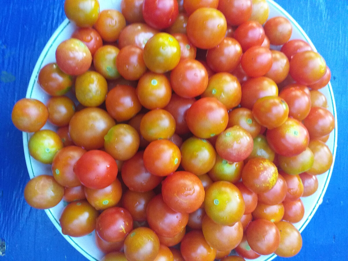 Мелкие и вкусные черри, размером со среднюю черешню, прекрасно заполнят пустоты в банке