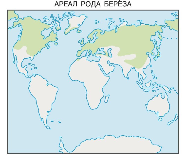 где растут березы в мире. где растут березы в мире. ареал произрастания березы в россии. ареал распространения сосны обыкновенной. где растут березы в мире.