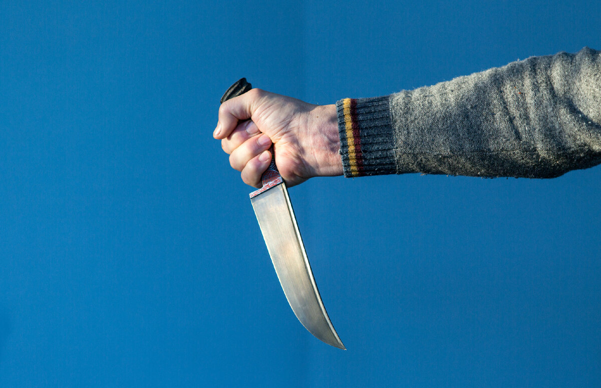 Фото: Николай Гынгазов/Globallookpress