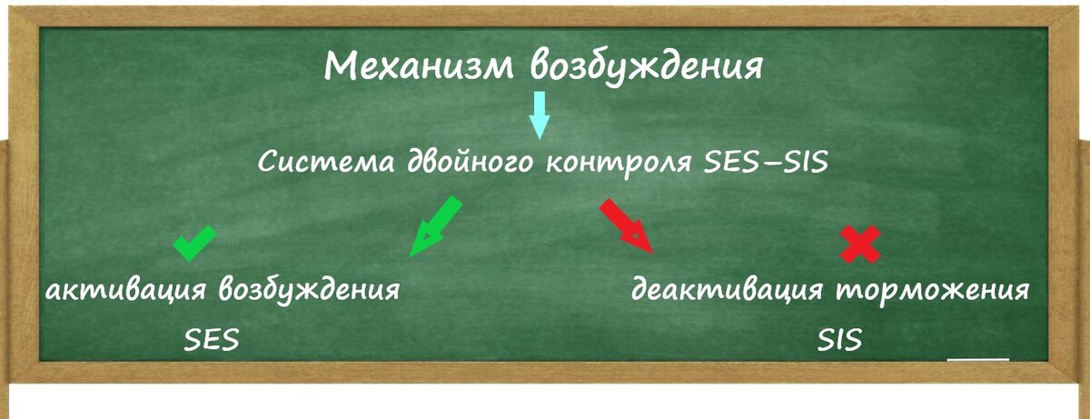 Три механизма сексуального влечения — и зачем знать свой