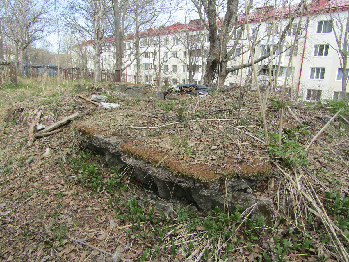 восточное кладбище пенза. старо-марковское кладбище москва. почему названо кладбище. старые кладбище в чохе. кривозеровское кладбище пенза.