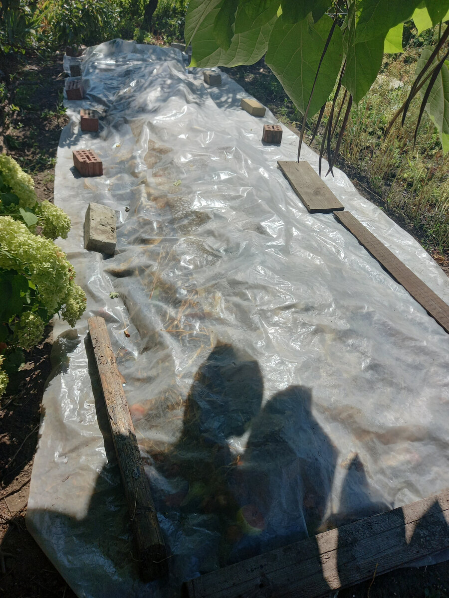 Одна грядка у меня уже готова