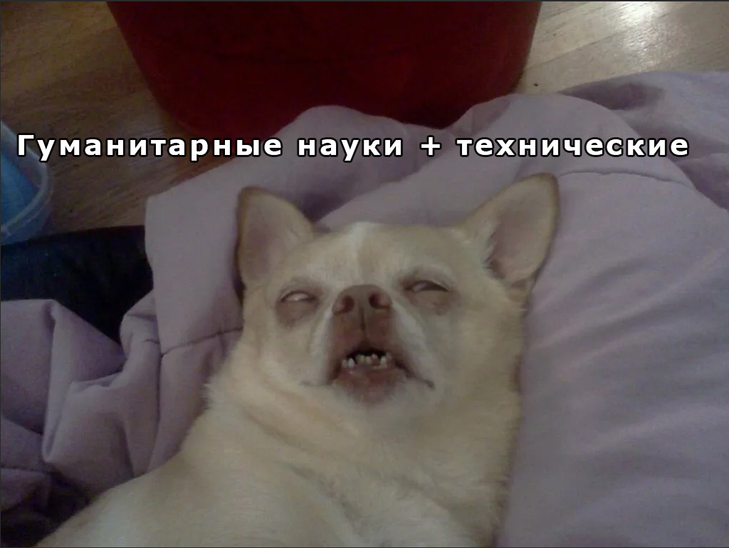 Санин мозг