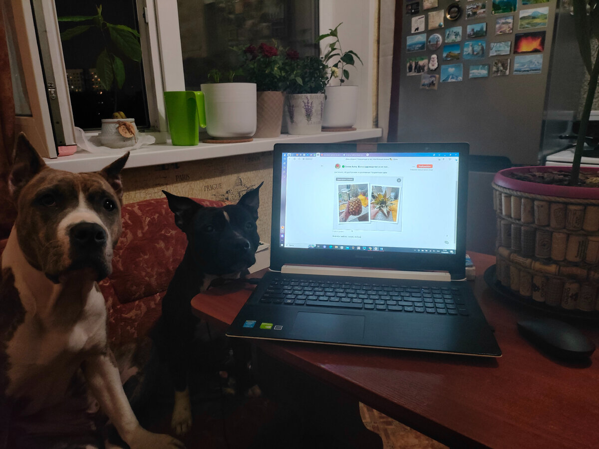 Как видите, мы шикарная команда! 