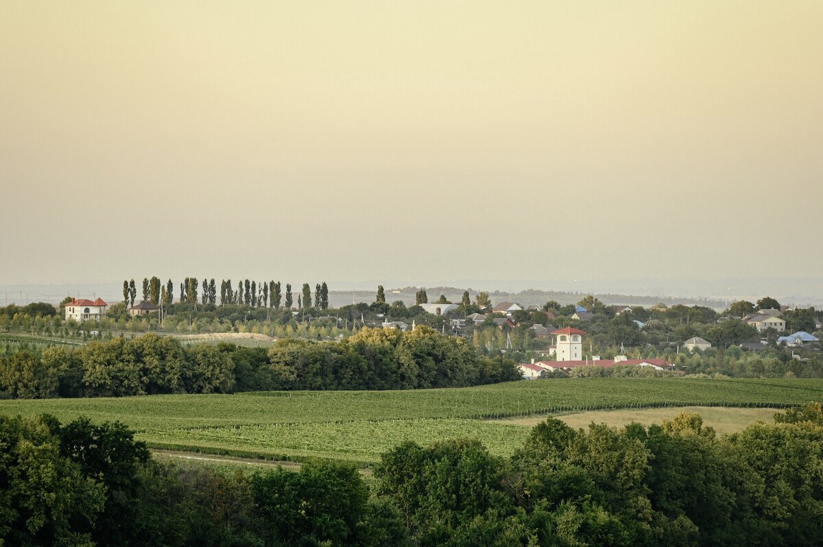    Абрау-Дюрсо, Лефкадия и Фанагория: гид по лучшим винодельням России (фото 1)