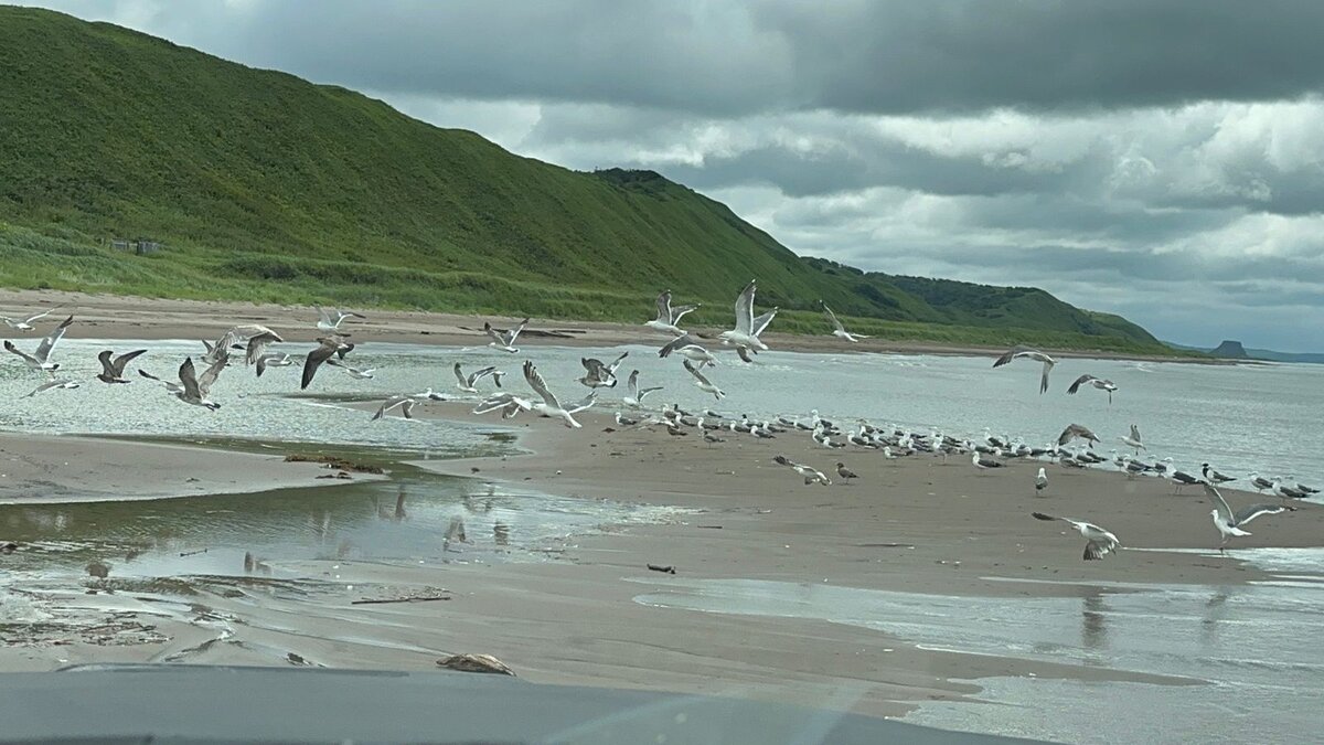 Делюсь с вами красотами острова Сахалин.
