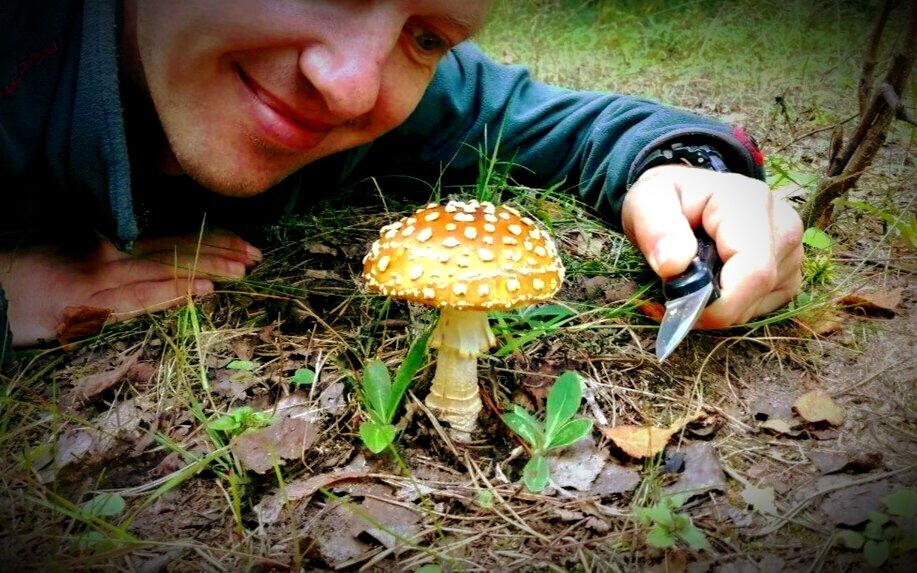 Какой красивый грибочек...