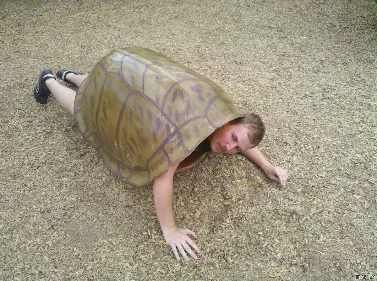 «Черепахи до самого низа» (иллюстрация) (с) из открытых источников