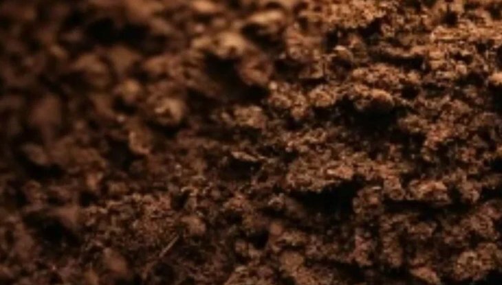    Как часто надо проводить агрохимический анализ почвы