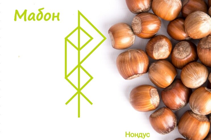 Став «Мабон – возьми от природы все»