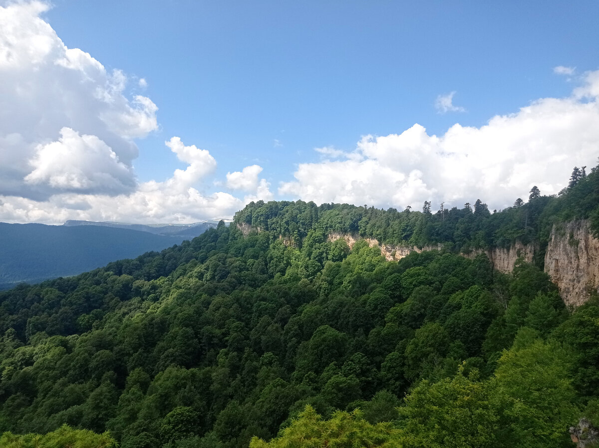 Кавказский заповедник кордон Лагонаки