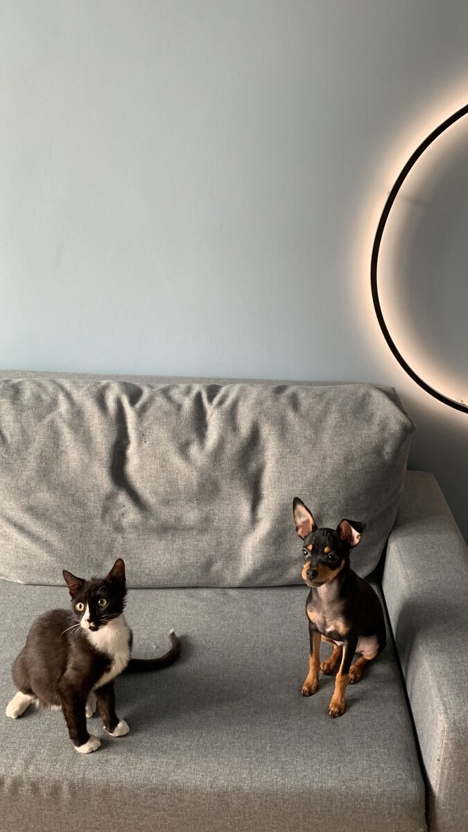 Тут стены сделаны хорошо, поэтому кольцо света ничего лишнего не показывает 