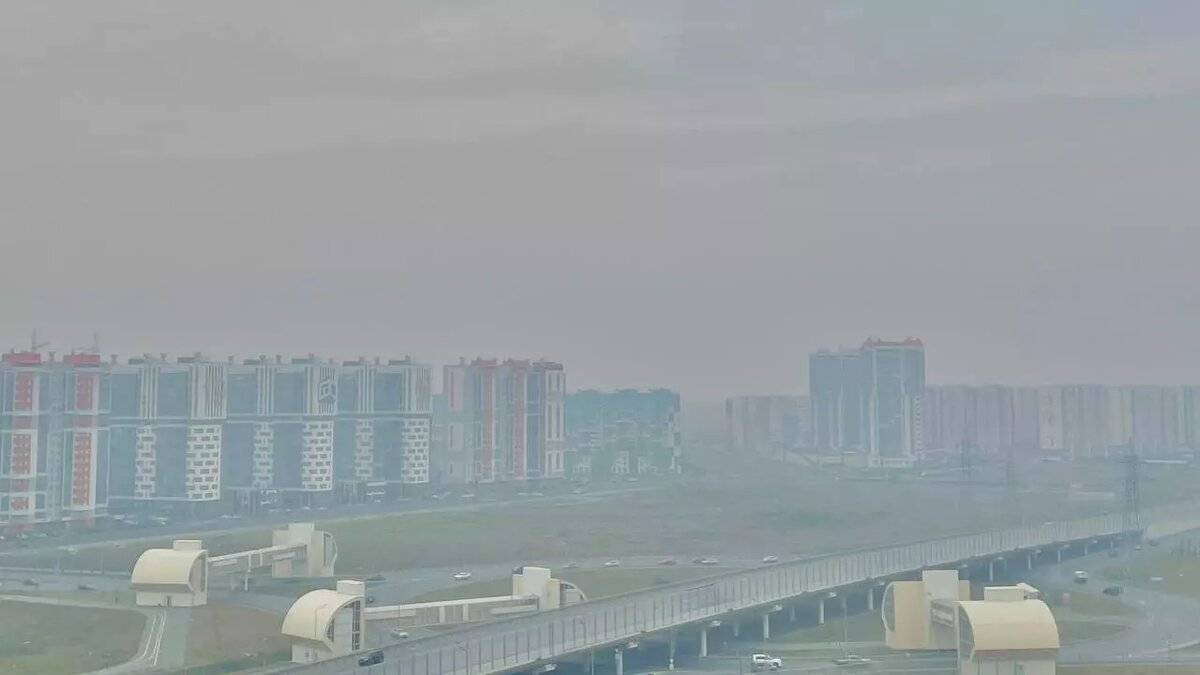     По данным сервиса IQAir, концентрация вредных веществ в областной сейчас в 2,6 раза выше рекомендуемого ВОЗ среднегодового значения качества воздуха.