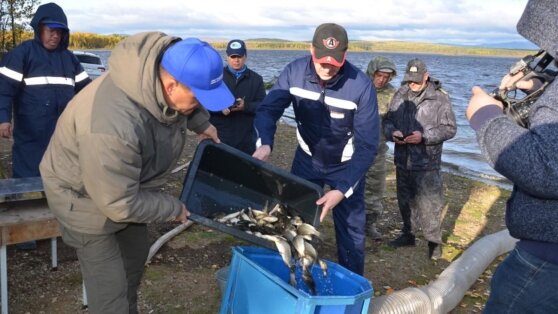    В Свердловской области прошла экологическая акция по зарыблению водоемов Пётр Сергеев