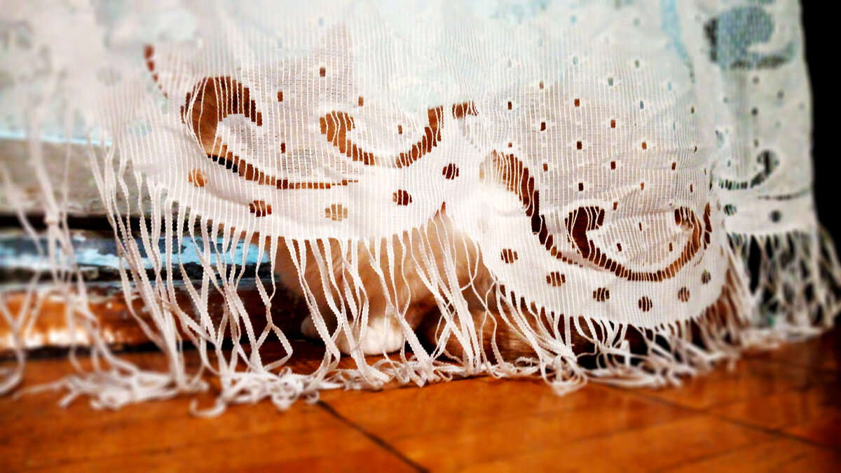 Если не можете найти хорошее место, чтобы спрятаться  —  прячьтесь в самом очевидном... 