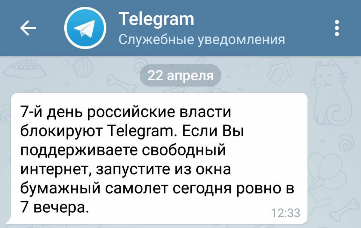 Россия за Telegram или что произошло сегодня в 7 часов вечера? | Toski News  | Дзен