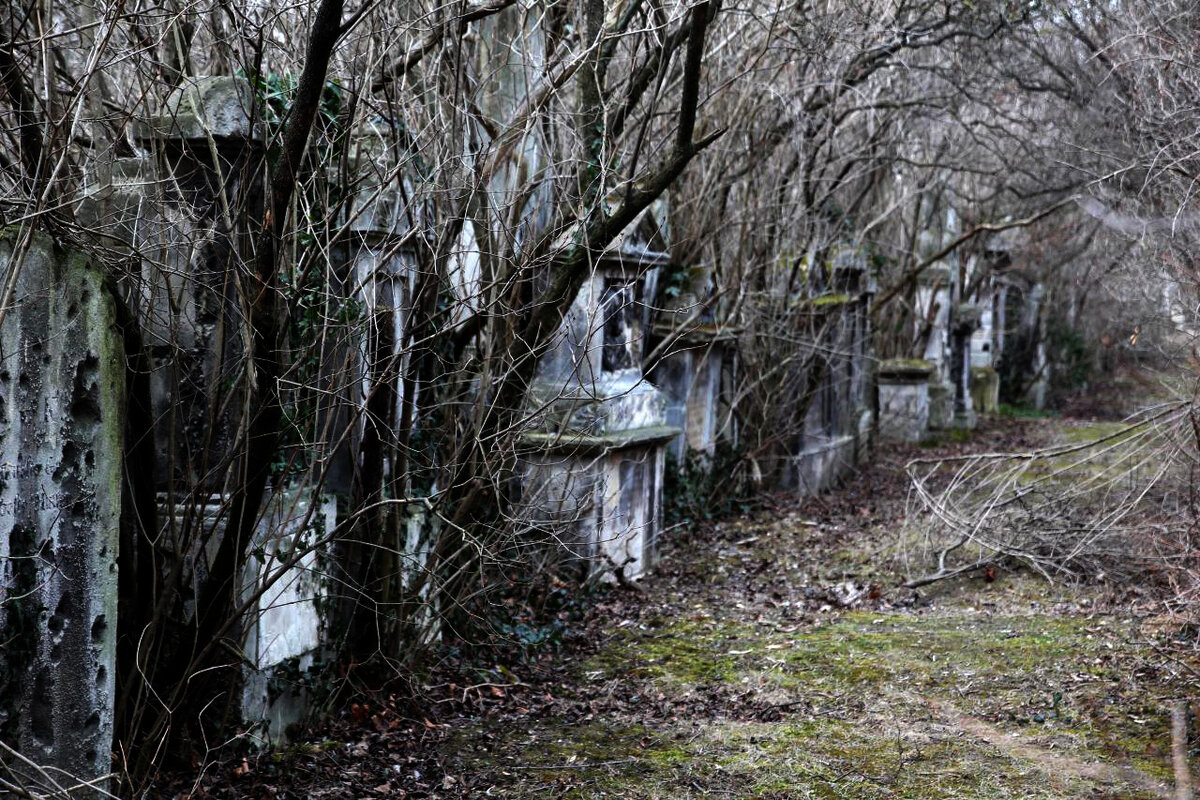 Заброшенное кладбище в парке Кузьминки