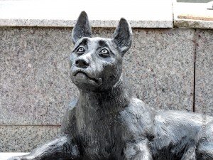 Жизнь современного человека трудно себе представить без домашних любимцев. Кошки, собаки, попугаи, аквариумные рыбки, черепахи и другие виды животных давно заняли свое место не только в наших квартирах, но и сердцах. Интернет заполнен фотографиями домашних животных , в городах развит целый бизнес, связанный с содержанием собак и кошечек.

К сожалению, не все животные имеют хозяев, в этой связи актуальной проблемой остается наличие бездомных животных.
11 июня 2015 года в центре города Кирова был установлен памятник-копилка бездомным животным, предназначенный для сбора пожертвований для бродячих животных.
Сам памятник представляет собой металлическую фигуру собаки без ошейника на каменном основании, на котором высечено фраза Льва Николаевича Толстого: «Чтобы поверить в добро, нужно начать делать его».
Каменный постамент имеет отверстие, предназначенное для пожертвований бездомным животным. Собранные средства будут направляться на содержание и лечение животных и на приобретение для них кормов.
Планируется, что в скором времени территорию вокруг памятника благоустроят. Затем рядом поставят скамейки, а у самого памятника воздвигнут мемориальную доску, где будут перечислены имена людей, благодаря которым эта собака-копилка появилась на свет.