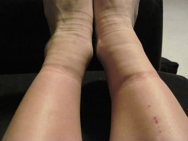 Фото: pixshark.com 