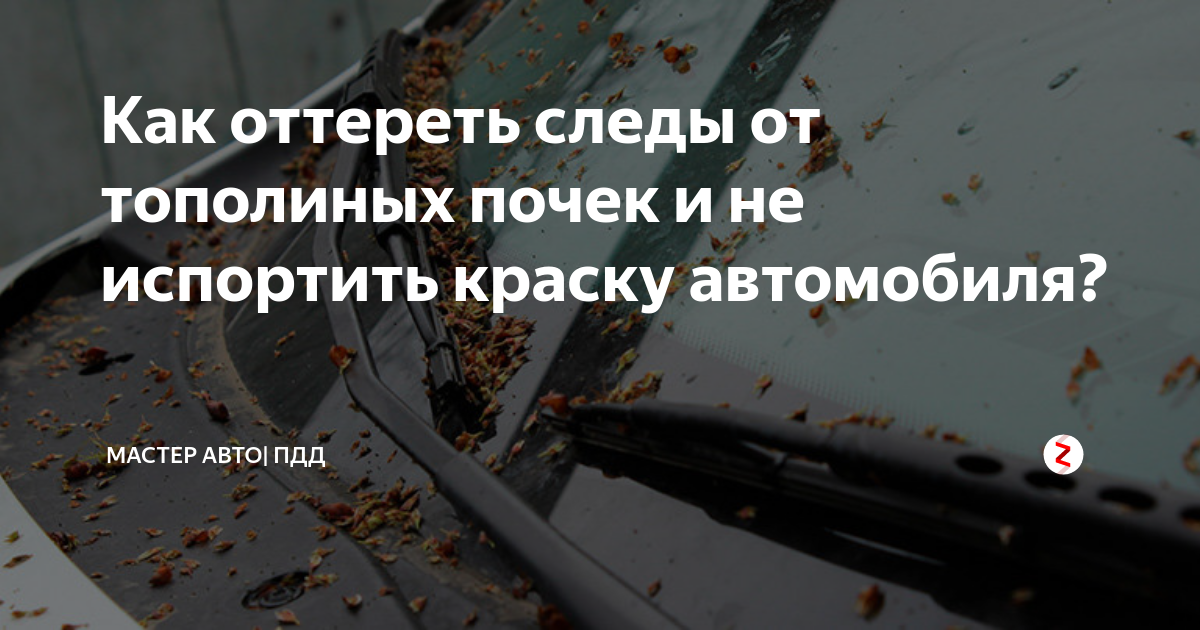 Чем отмыть тополиные почки с автомобиля. Тополиные почки на авто. Следы от тополиных почек на машине. Чем отмыть с машины смолу от тополиных почек.