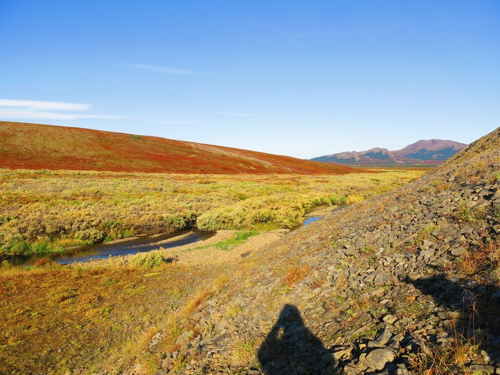Пойма безымянного ручья