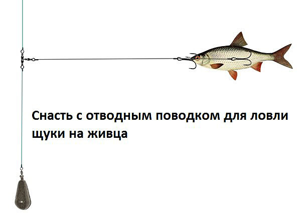 Живцовая оснастка Ловля щуки на живца. Поплавочная и донная оснастка! Все о Рыбалке и Активном Отд