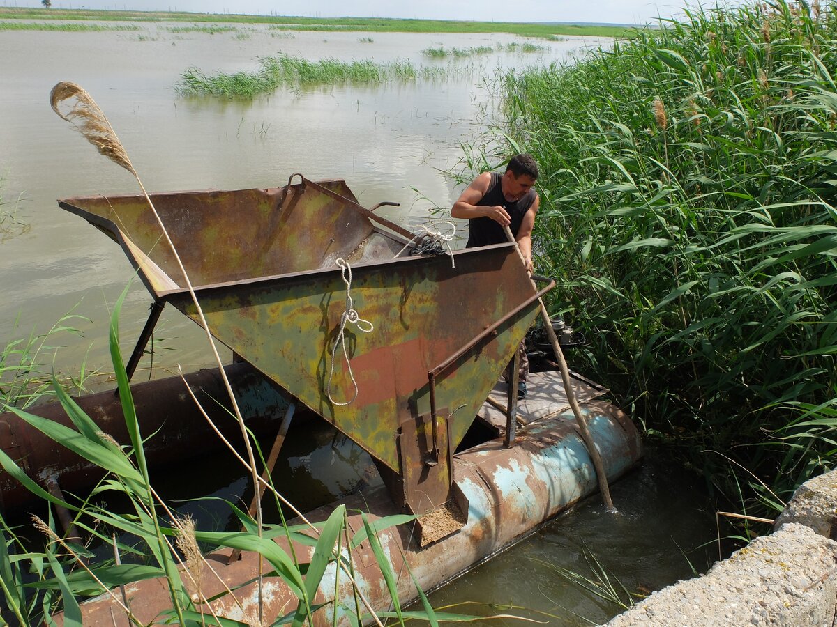 Кормление. В такие кормушки закладывают дробленку, посудина плавает по пруду на прицепном моторе, рассыпает корм рыбам. Сейчас для двухнедельного малька тратится немного – 50 кг на пруд. Кормят рыбу дважды в день.