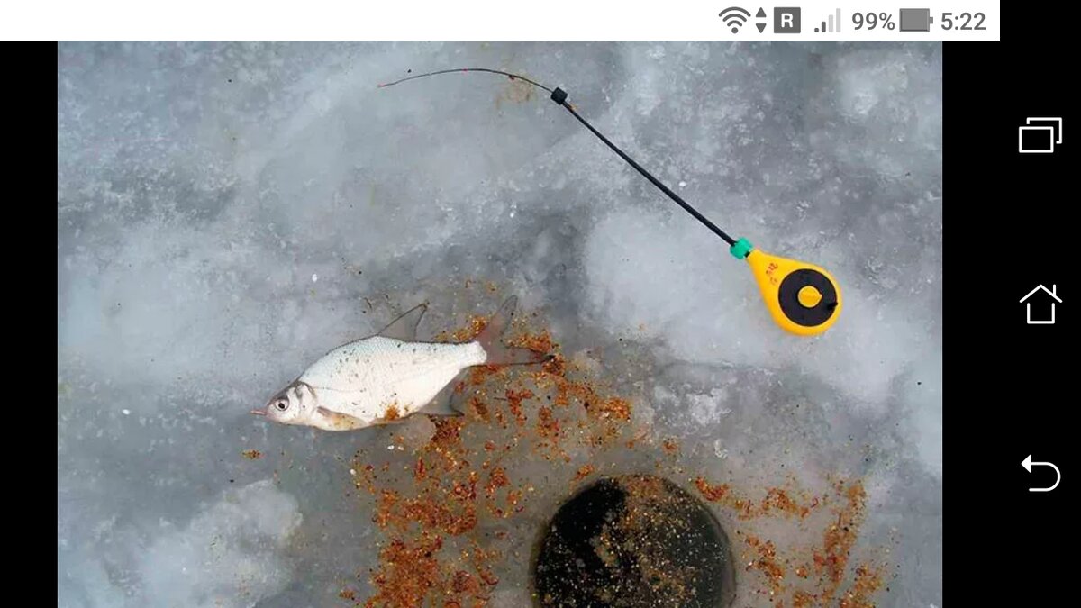 Снасти на леща зимой на водохранилище. Плотва на течении зимой. Плотва на течении зимой. Плотва в глухозимье. Плотва на течении зимой.