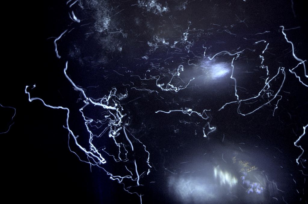 Это не то, что вы подумали. На этой фотографии отображены ночные маршруты групп фонареглазов с большой выдержкой.
