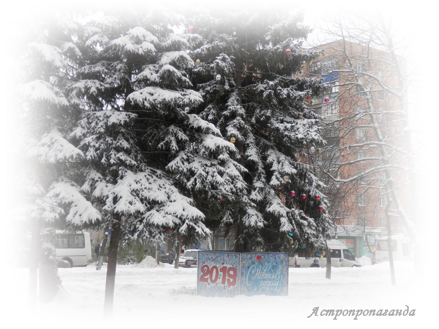 Коллаж Нины Стрелковой.