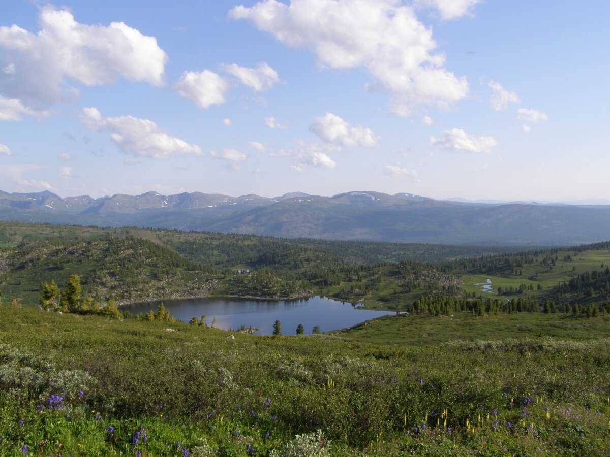 Республика тыва озеро азас фото