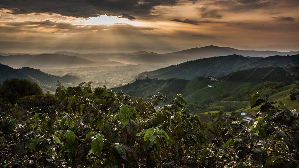 Фото www.nescafe.com/