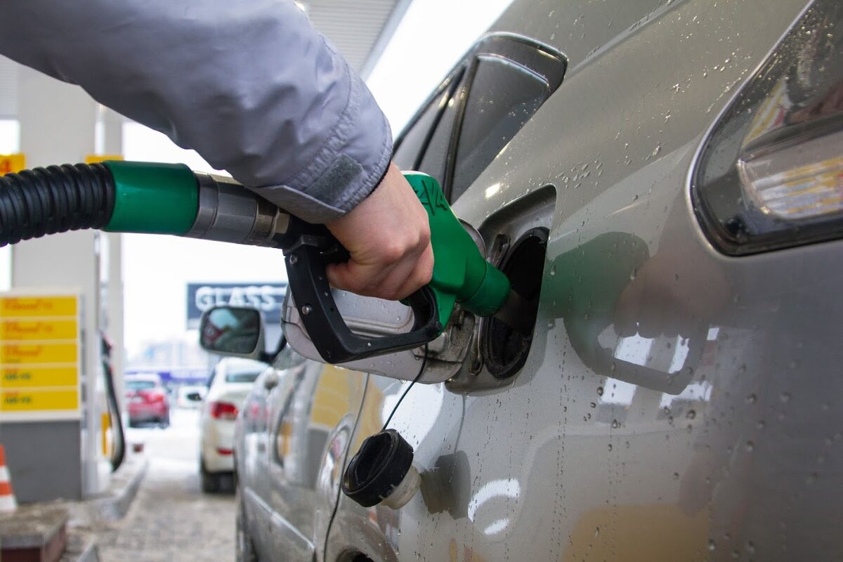 Фото: metagazeta.ru / Анатолий Трофимов