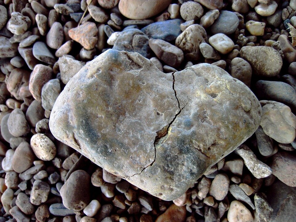 фото с сайта pixabay.com
