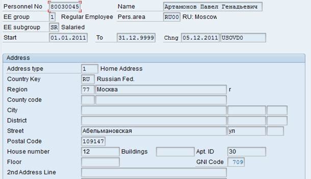 SAP HCM implementation in Russia | SAP для фрилансера | Дзен