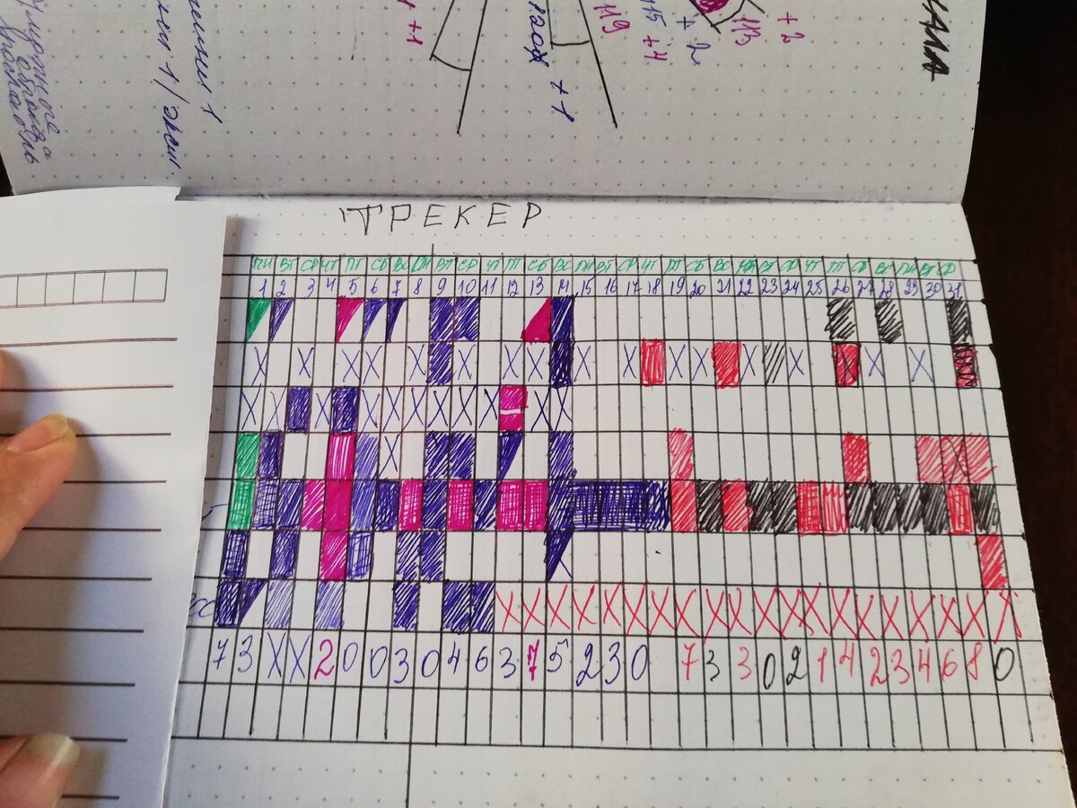 Фото заполненного трекера