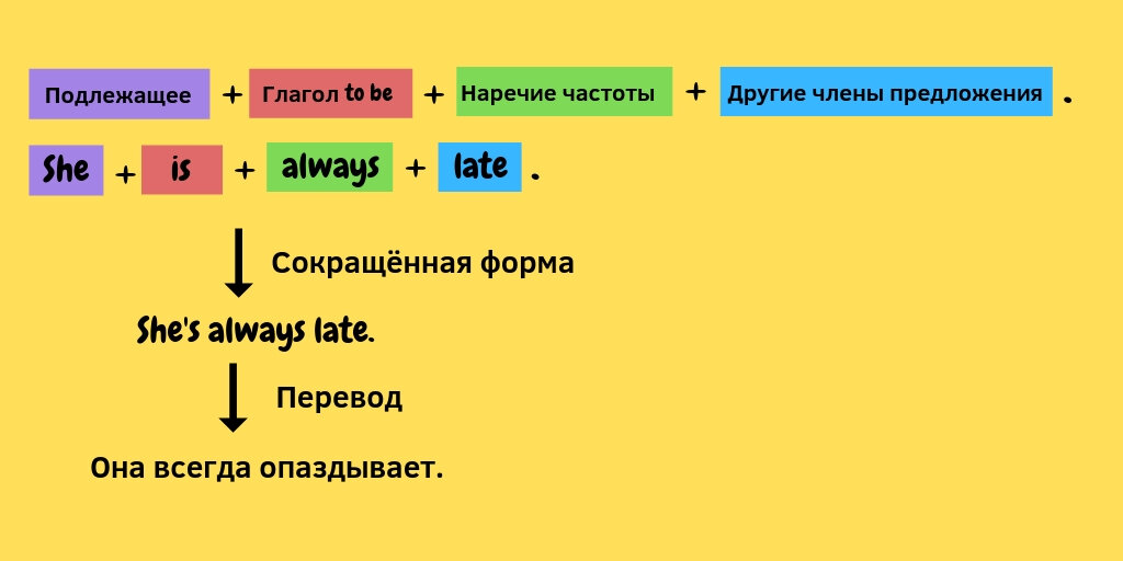 Порядок наречия в предложении. Наречия в английском языке. Наречия частотности в английском. Место наречий в предложении в английском языке. Место наречий в предложении в английском языке.