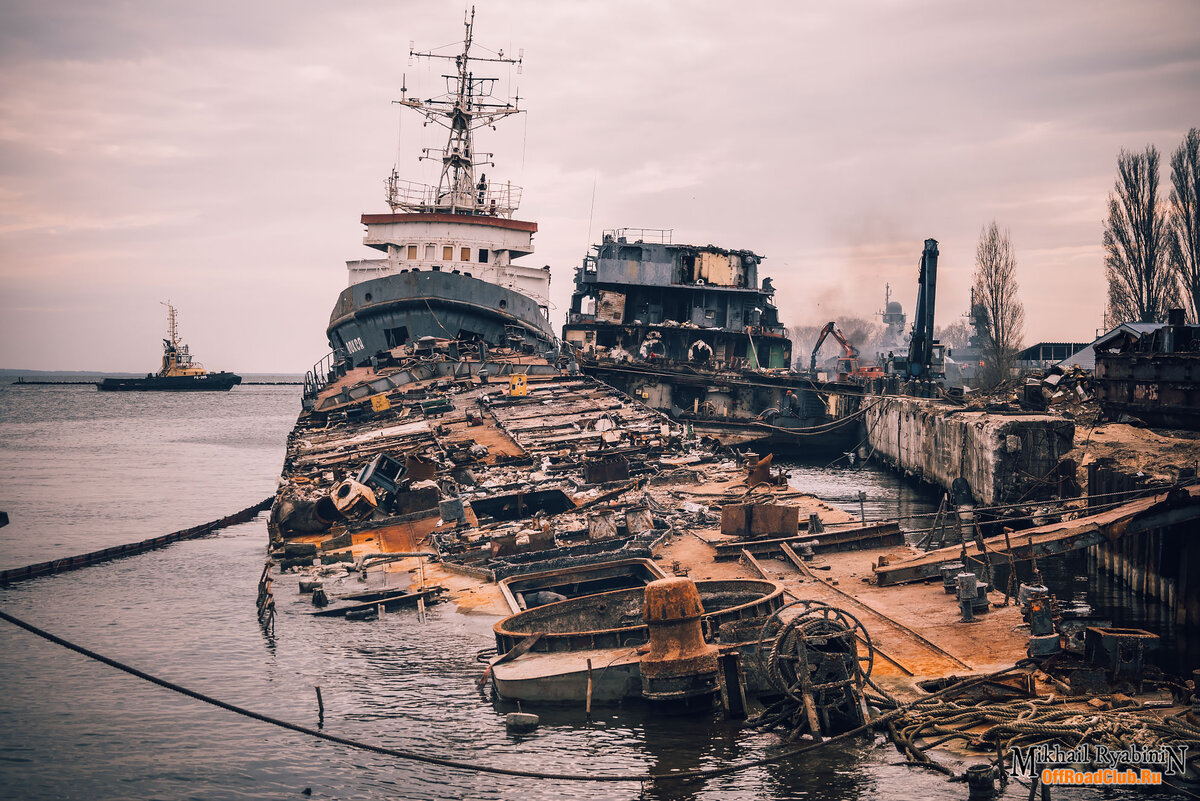 ©M.Ryabinin \ 📷 Olympus OM-D E-M1X