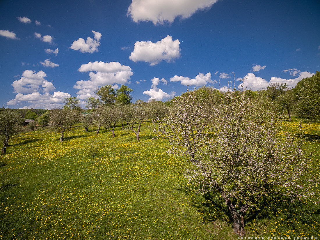 8 интригующих фактов об усадьбе Льва Толстого Ясная Поляна (ФОТО ...