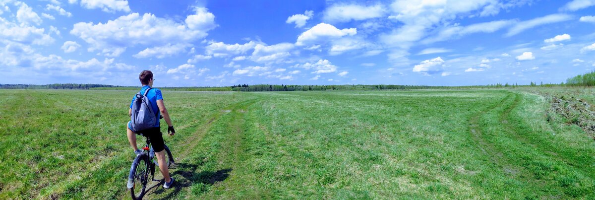 Вид на огромное поле и кромку леса, через который мы и будем плутать весь день.