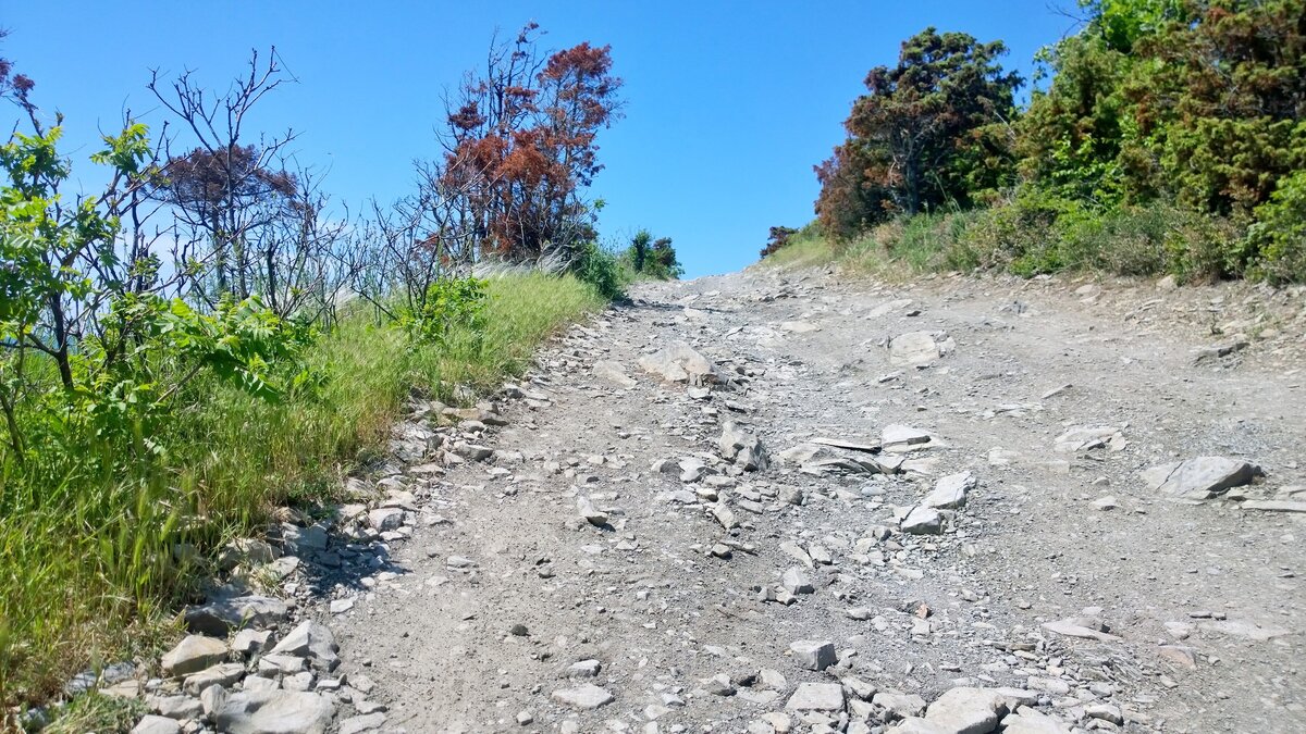 пляж благовещенская анапа. краснодарский край где чище. пляж мыса дооб кабардинка. заповедник утриш краснодарского края. бухта инал голубая бухта.