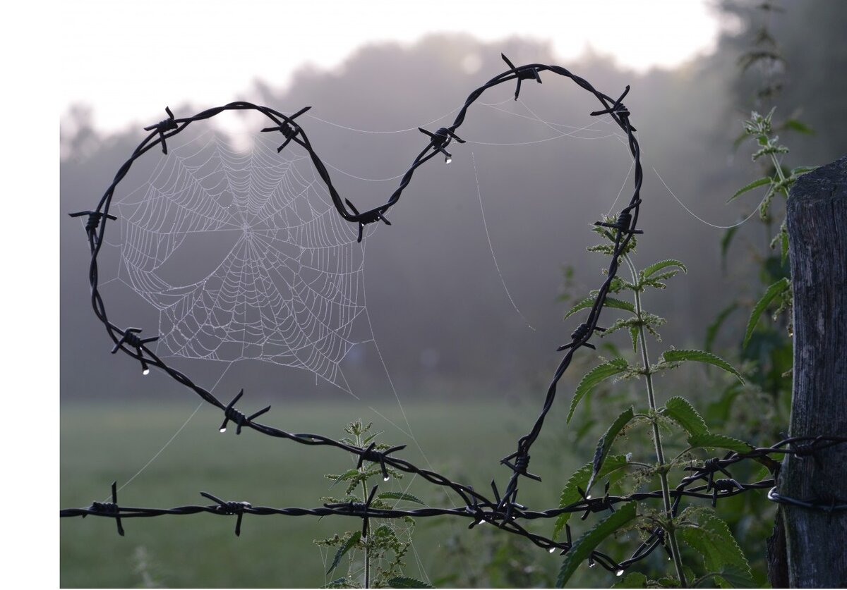 Фото взято из pxhere.com