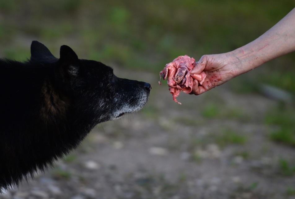 Фото взято из открытых источников Интернет