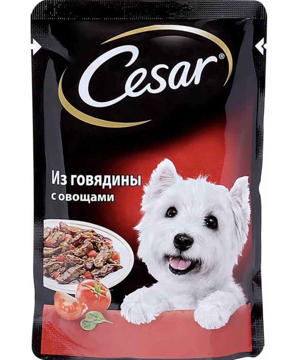 Это корм который нам дали !!! Видете фото милой собачки ? ! А что это за собачка узнаете потом !! ? Мне она очень понравилось !! 