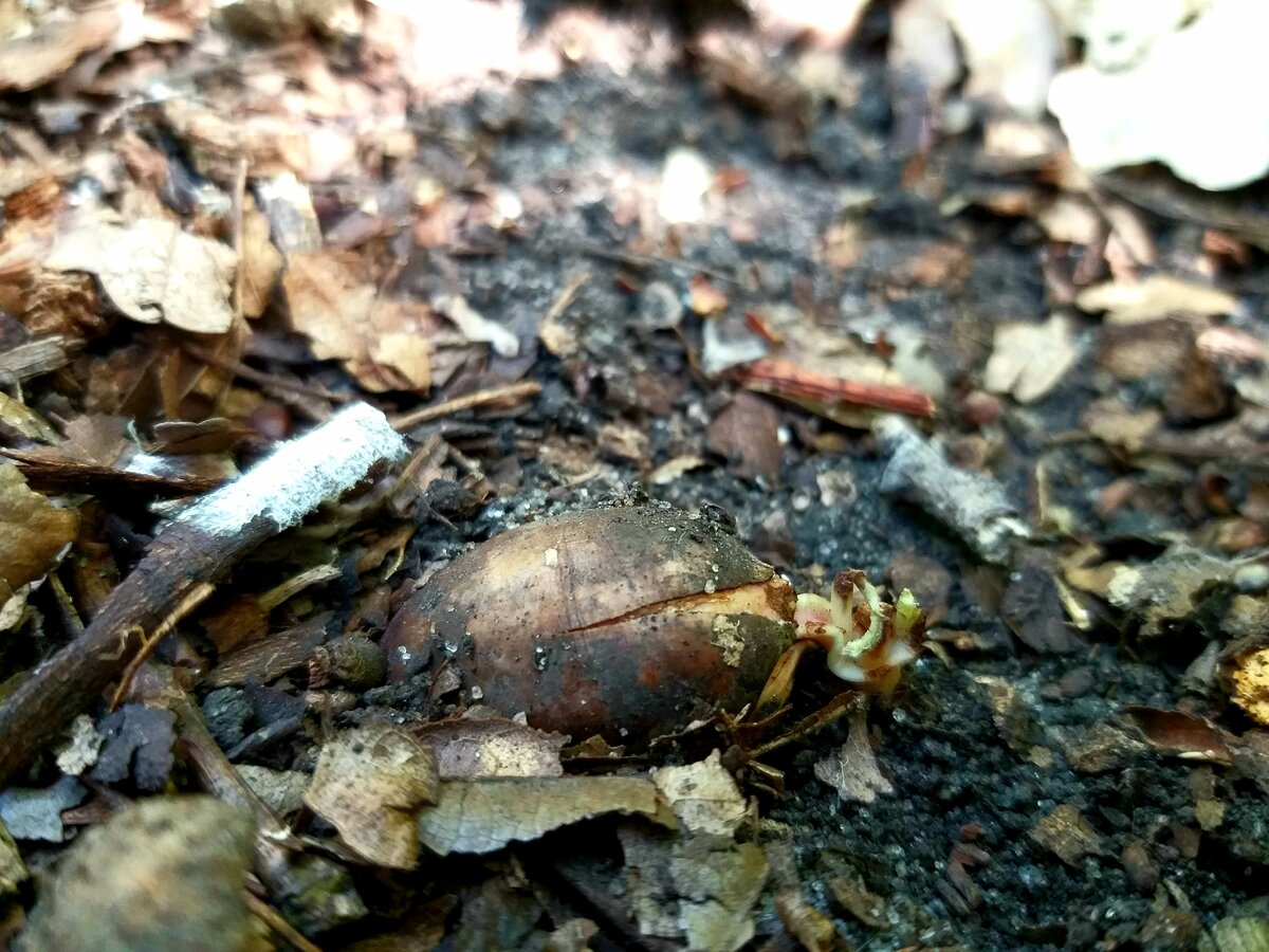 Фото автора.