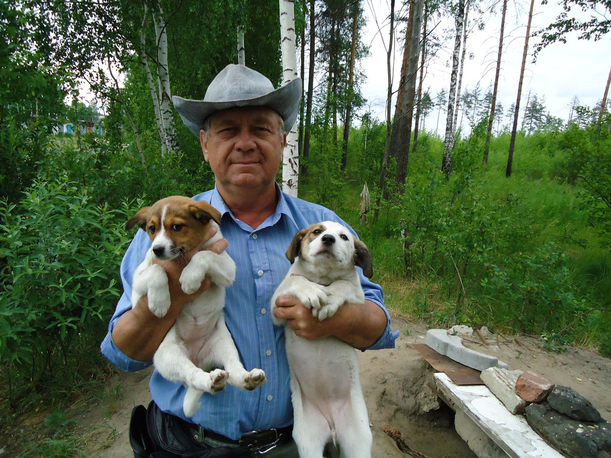 Н.И. Смотров vk.com/savedog1