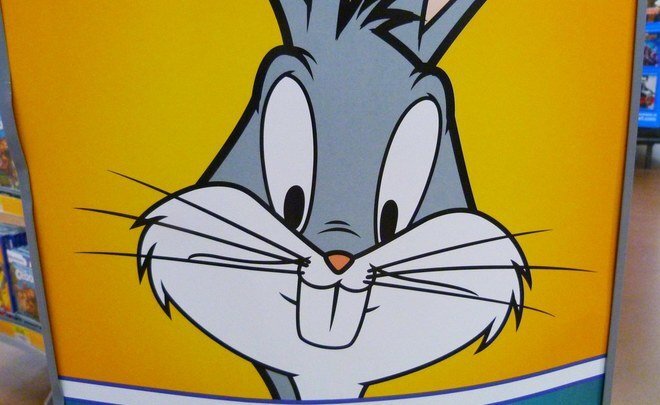  Фото: flickr.com / Rusty Clark