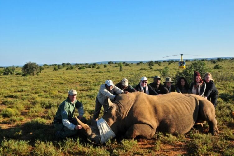 Очень много энтузиастов, которые своими силами пытаются сохранить нашу с вами флору и фауну.
