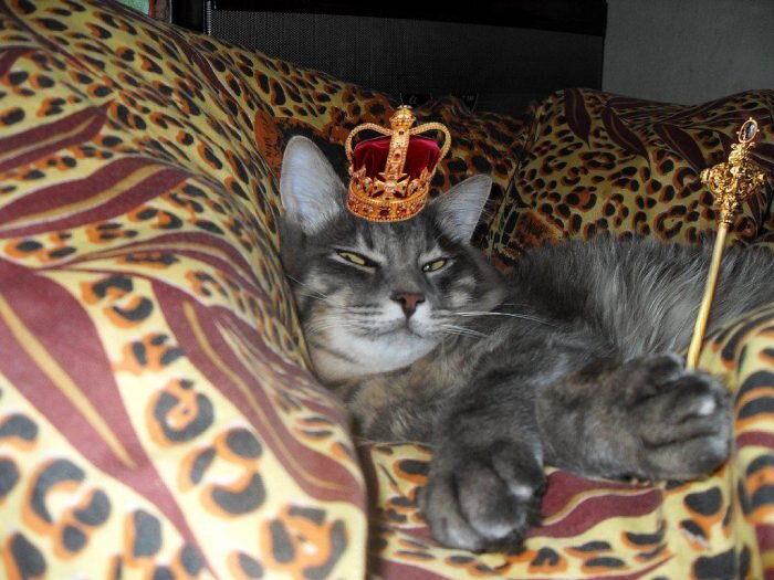 Источник: astropro.ru