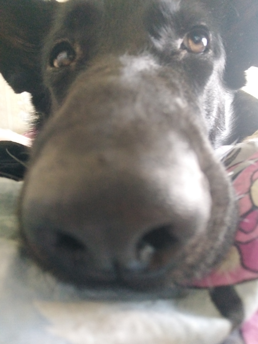 У меня даже сфоткать нормально не получилось) 